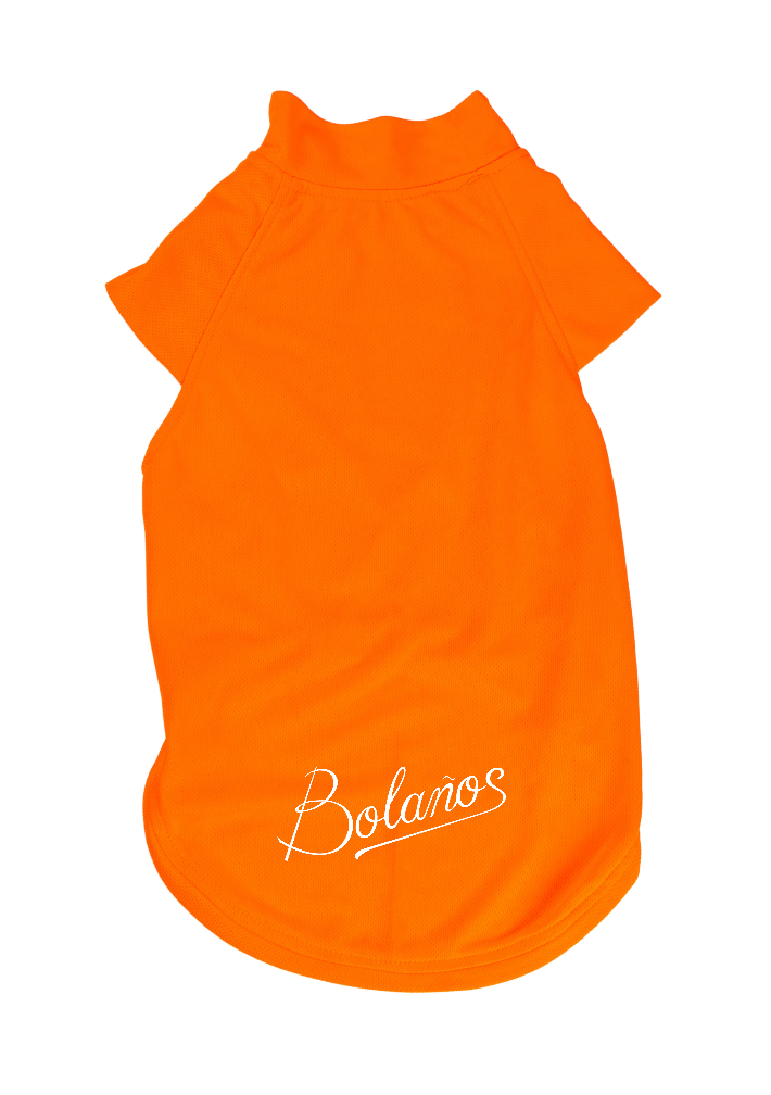 JERSEY DEPORTIVO NARANJA - RUFINO BOLAÑOS